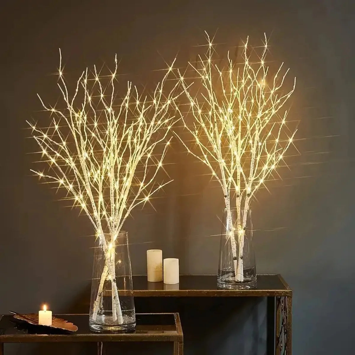 Battery Operated Birch Branch Lights with 20 Warm White LEDs – 28.35 Inches for Indoor and Outdoor Decor-1